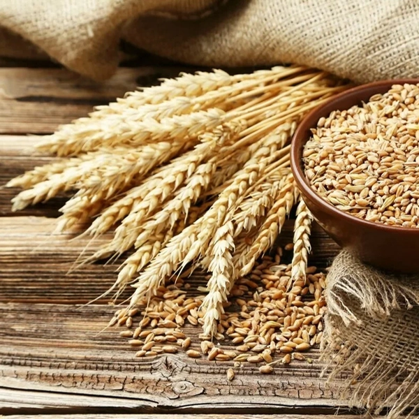 buğday